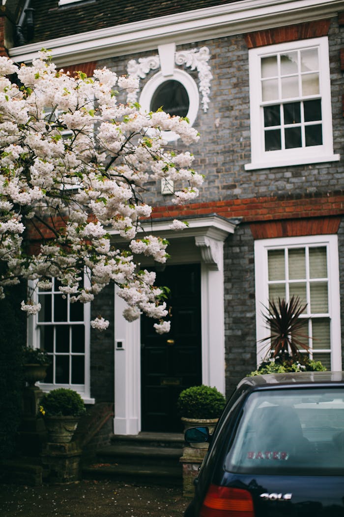 Charming London townhouse facade with blooming tree and classic architectural details.